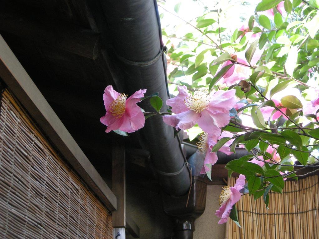 Guesthouse Itoya Kyoto Extérieur photo